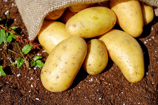 Savoir enfin cuisiner les pommes de terre