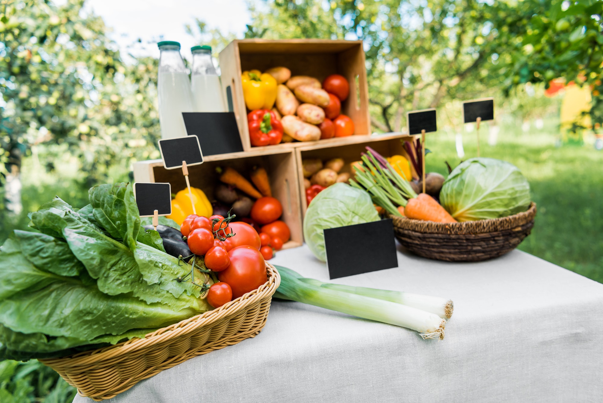 cuisine écologique